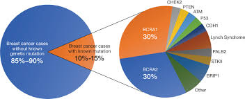 Genes act as instructions and contain information to build and maintain cells in the body. Comparison Of Patient Susceptibility Genes Across Breast Cancer Impli Pgpm