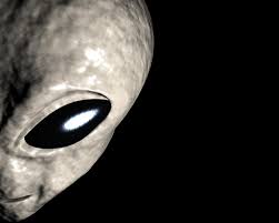 Free alien wallpapers and alien backgrounds for your computer desktop. Alien Wallpaper 88 1280x1024 Pixel Wallpaperpass