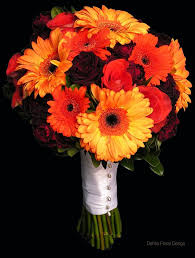 Maybe you would like to learn more about one of these? Sunset Colored Wedding Bouquets Dahlia Floral Design Bridal Bouquet Fall Red Bridal Bouquet Gerbera Daisy Wedding Bouquet