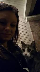 Valley Hi Nissan community, urgent help needed for baby kitties