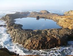 tide pool at glass beach near fort bragg mendocino county