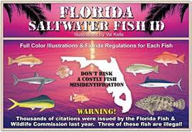 Sw Fish Id 9749091574 Florida Saltwater Fish Id 10th