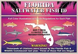 sw fish id 9749091574 florida saltwater fish id 10th