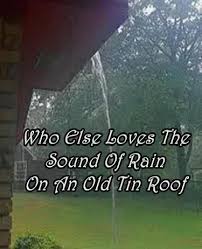 The Sound Of Rain On A Tin Roof Sound Of Rain I Love Rain Love Rain
