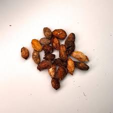 Image result for Cyphostemma saxicola