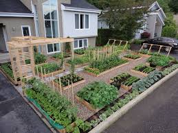 Kamu tidak perlu membuat dokumen baru. 17 Ide Kreatif Bikin Kebun Sayur Di Rumah Sendiri