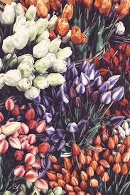 Nature aesthetic flower aesthetic aesthetic vintage aesthetic girl photo wall collage picture wall l wallpaper flowers in the attic image deco. 50 Gorgeous Flower Aesthetic Wallpaper For Your Iphone Prada Pearls