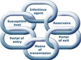 Chain Of Infection Definition Example Video Lesson