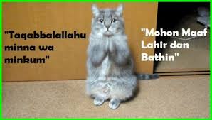 Sticker Kucing Comel 81021 Nama Untuk Kucing Comel Lucu Dan Unik