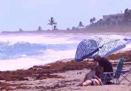 Palm Beach County Beaches To Open Wednesday No High Levels