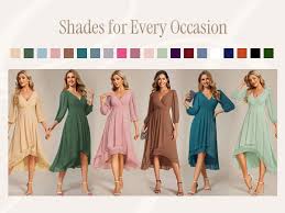 Amazon.com: Ever-Pretty Women's Chiffon Spring V Neck Long Sleeves Pleated  A-Line Midi Length Wedding Guest Dress Black : Clothing, Shoes & Jewelry