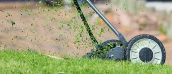I live in the dallas, tx area and just passed my private applicators license so i can buy whatever i want to kill weeds in my lawn. Organic Lawn Care Tips Bokashi Living