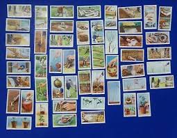 Pin On Ebay Treasures