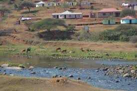 And that traditional consultancies have done very little to. Kzn Community Members Torch Farm Claim Farmer Forced Man To Jump Into Msunduzi River News24