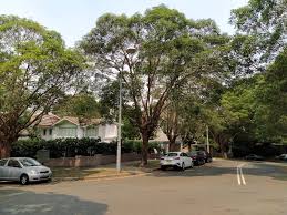 News, events and updates from woollahra council. Slow Burn Woollahra Completing Sydney