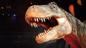 Walking with dinosaurs is a trademark of the british broadcasting corporation and is used under license. Walking With Dinosaurs Live Manchester Arena Youtube