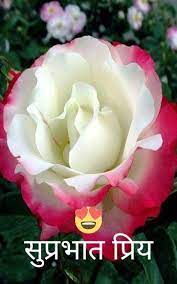 Pin On Shubh Sakal Marathi