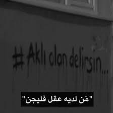 افتار هيدر تمبلر صور صوره خلفيه افتارات Funny Study Quotes Mood Quotes Turkish Quotes
