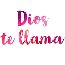 d te llama