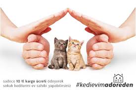 Adore Kedi Evi Cat 01 Hm 1 Ahsap Kedi Evi Kedi Hayvan
