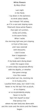 Mary Oliver White Flowers Poetry Words Mary Oliver Poems Words