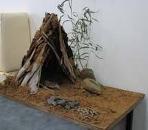 Pin By Bianca Newchurch On Cool Stuff For School Aboriginal Education Aboriginal Art For Kids Indigenous Studies