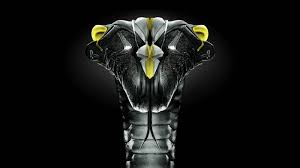 Cave logo illustrations & vectors. Free Download Nike Elite Logo Wallpaper Nike Kobe Wallpapers Wallpaper Cave 1600x900 For Your Desktop Mobile Tablet Explore 75 Nike Kobe Wallpaper Kobe Wallpapers Hd Lebron And Kobe Wallpaper