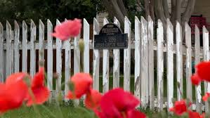 Image result for Poppy Red 1993 Town and Country