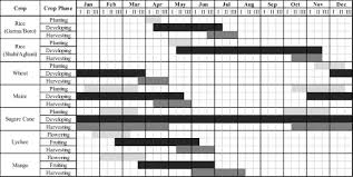 Extracting Seasonal Cropping Patterns Using Multi Temporal Vegetation Indices From Irs Liss Iii Data In Muzaffarpur District Of Bihar India Sciencedirect