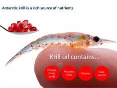 krilloil磷蝦油含有 omega 3 抗發炎 降低三酸甘油脂 孕妇摄取幫助寶寶提升認知力與學習力 預防中風 血管不易阻塞血管清道夫 磷脂 乳化 分解油脂