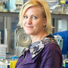 Melody Swartz appointed deputy dean for faculty affairs