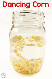 Dancing Corn Science Experiment