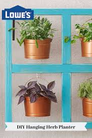 Shop herb plants and a variety of lawn & garden products online at lowes.com. Pin On Irad2 Verizon Net