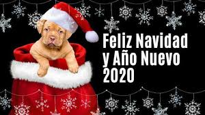 Esperamos que estos mensajes de navidad sean de tu agrado, puedes compartirlas como mejor lo desees, en tarjetas bonitas compradas en alguna tienda especializada, en postales, en alguna carta hecha a mano o bien, con imágenes a través de las redes sociales para esos familiares y amigos que están lejos, sin duda, una opción que frases.top te. Mensajes De Navidad Y Ano Nuevo 2020 Un1on Jalisco