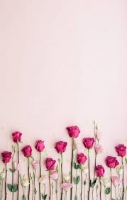 67 Ideas Flowers Background Laptop Products For 2019 Flowers Roze Achtergrond Roze Achtergronden Achtergrond Iphone