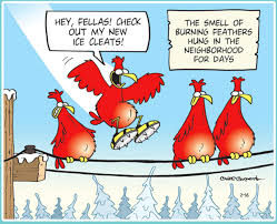 Cartoon Bird With Hair On Head Tundra A Great Comic Funny Cartoons Funny Haha Funny
