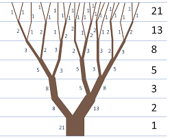 The fibonacci numbers are the numbers in the following integer sequence. Fibonacci Tree Fibonacci In Nature Fibonacci Sequence In Nature Fibonacci Art