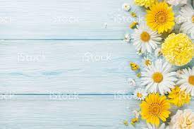 Floral spring frame with blue flowers and Garden Flowers Over Wooden Background Royalty Free Stock Photo Photography Backdrops Springtime Pictures Background For Photography