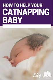 How To Help Your Catnapping Baby Baby Sleep Cycles Sleep Training Baby Baby Sleep Consultant