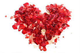 Gresie, rigips, glet, faianta, tencuieli, zidarie, instalatii electrice, sanitare, tapet, zugraveli inainte sa afisati preturi va rugam informativa mai intaiafisati bine m2 ml va multumesc pentru intelegere. Va Multumesc Trairi Si Sentimente