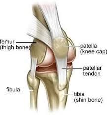 Pin On Doctors