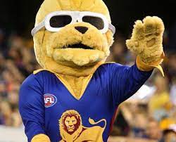 Ella is one of 35. Brisbane To Use Real Life Lion As Mascot