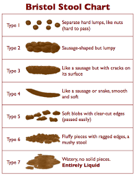 Bristol Stool Chart In 2020 Stool Chart Bristol Stool Chart Hemorrhoids