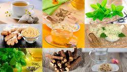 Se trata del primer descubrimiento que cuenta con pruebas fehacientes de su eficacia a la hora de combatir la pre diabetes, la como se cura la diabetes, cura para diabetes, planta para diabeticos, dieta para diabeticos, cura de diabetes, remedios para diabeticos. Plantas Medicinales Ecured