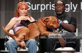 Founder Of Villalobos Rescue Center Tia Torres And Earl Moffett Speak Villalobos Rescue Center Pit Bulls Parolees Pitbull Rescue