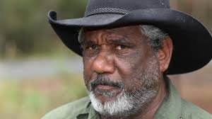 Bushfire management: Indigenous cool burns vital to hazard reduction