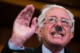 Image result for bernie hitler