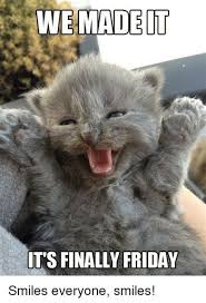 Below you'll discover the complete list of animal names our researchers have written about so far. Yes It S Our Favorite Day Of The Week We Made It Time To Enjoy The Weekend Everyone Tgif Cute Cats Good Job Cats