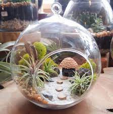 Cool 40 Air Plant Terrarium Kit And Stained Glass Ideas Https Gardenmagz Com 40 Air Plant Terrarium Kit A Air Plant Terrarium Beautiful Terrariums Terrarium
