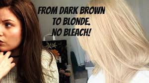 There are several products in a market proclaiming the brown hair to blonde transformations, dark to light hair transformations or simply the dark brown hair transformations. From Dark To Blonde Hair Dye Without Bleach Novocom Top
